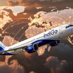 indigo 2025