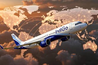 indigo 2025